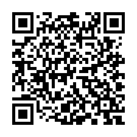QR code for plate 384 GJU