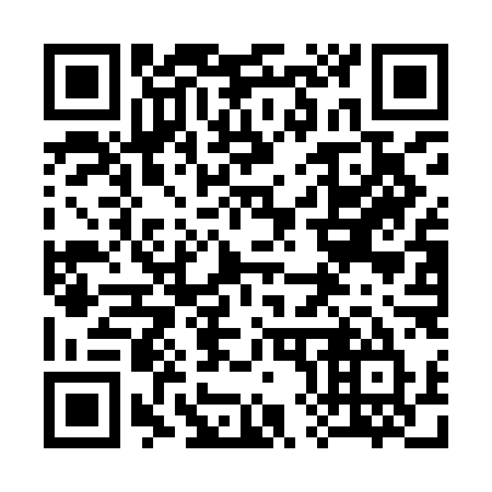 QR code for plate 384 ILU