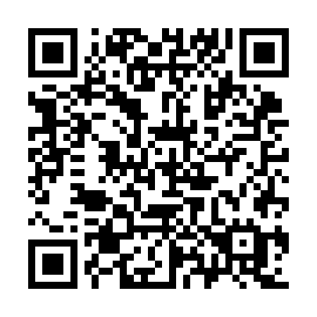 QR code for plate 384 KGE