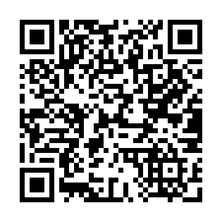 QR code for 384SNE