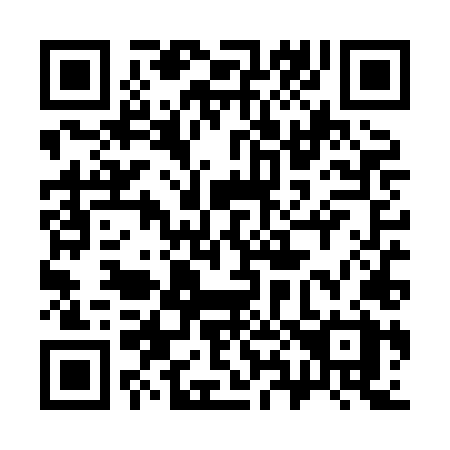 QR code for 384XLX
