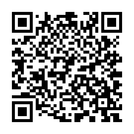 QR code for plate 384 ZHO