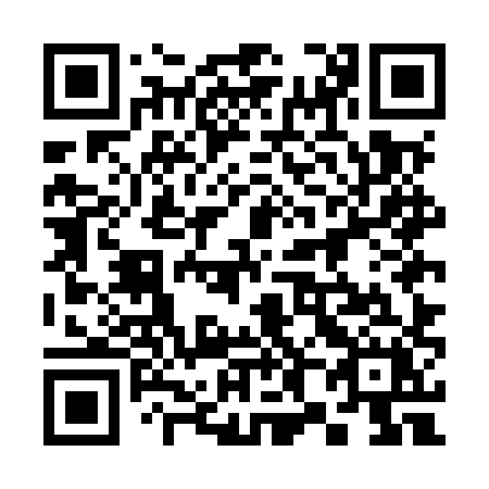 QR code for 385 MXX