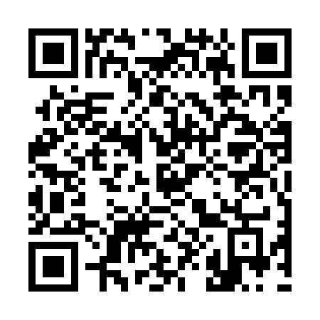 QR code for plate 385 1KG
