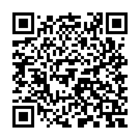 QR code for 3851XP