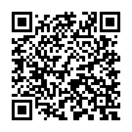 QR code for plate 385 5LZ