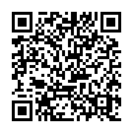 QR code for plate 385 JGX