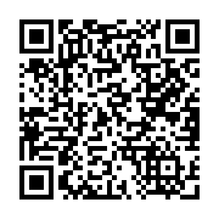 QR code for plate 385 KGV
