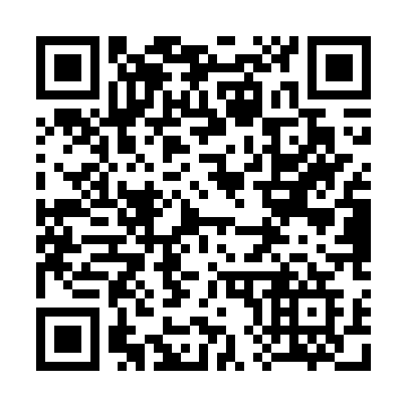 QR code for plate 385 WQG