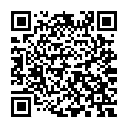 QR code for 386 PFO