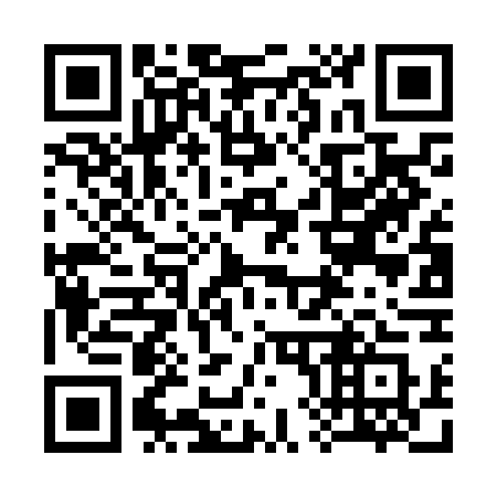 QR code for 386NGS
