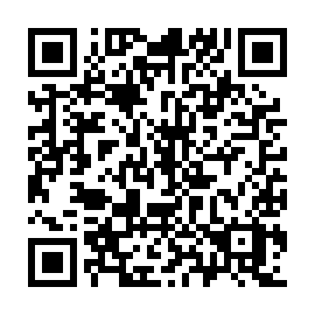 QR code for plate 386 PIX