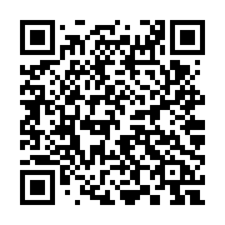 QR code for plate 386 VPB
