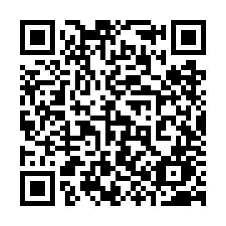 QR code for plate 386 WON