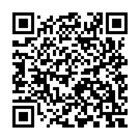 QR code for 387 9YO