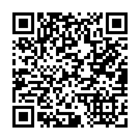 QR code for 387 RFN
