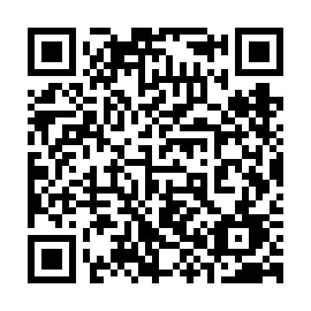 QR code for 387 VCD