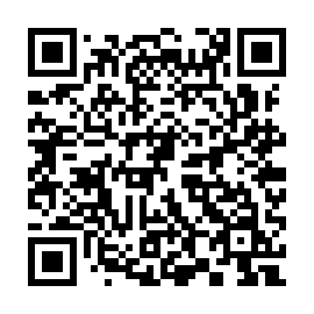 QR code for 387 YAN