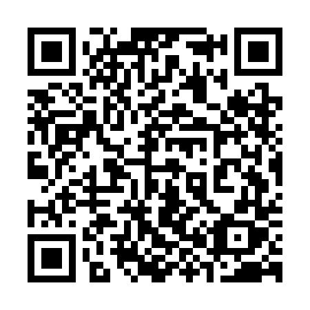QR code for plate 387 CDX