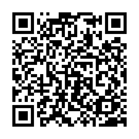 QR code for 387ERP