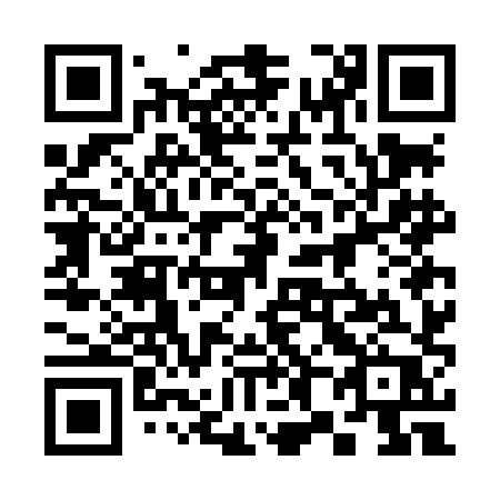 QR code for 387LHP