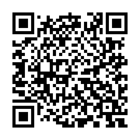 QR code for plate 387 MIV