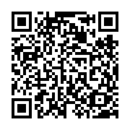 QR code for 389 VDY
