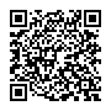 QR code for plate 389 DBX