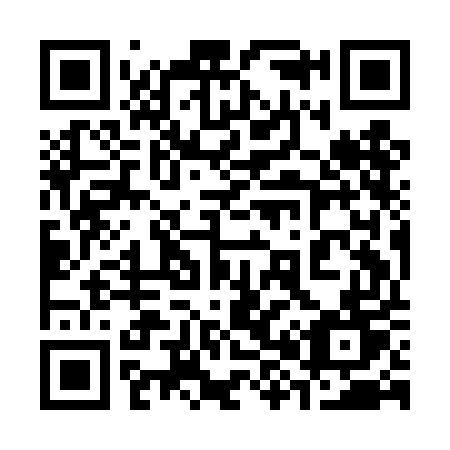 QR code for plate 389 DET