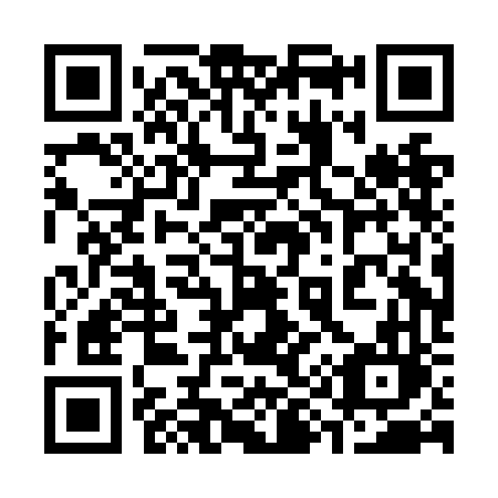 QR code for 390 NFL