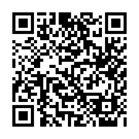QR code for plate 390 5MB