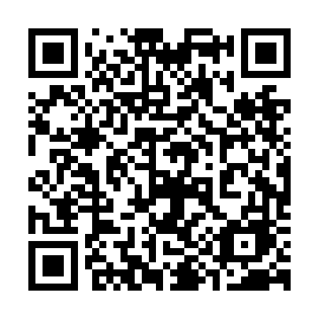 QR code for plate 390 NFE