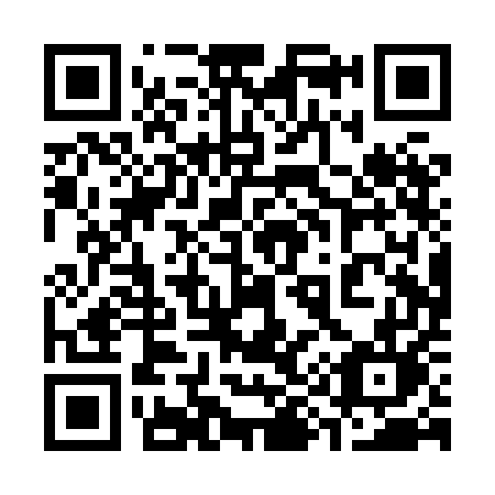 QR code for plate 390 XEL