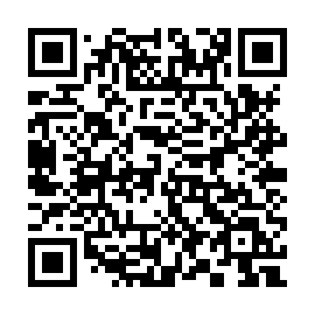 QR code for 390XUL
