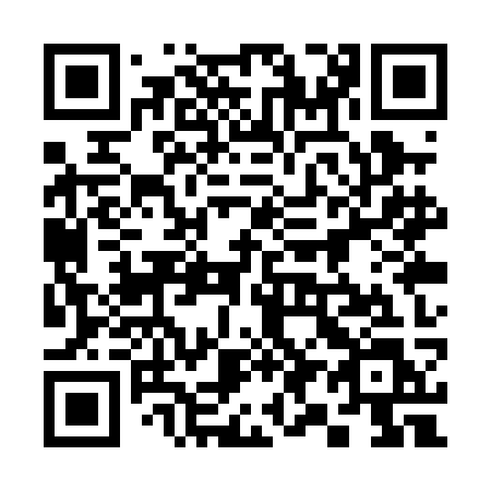 QR code for 391 PKL