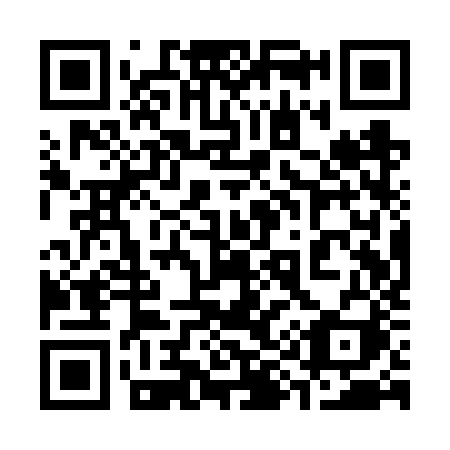 QR code for 391 VZI