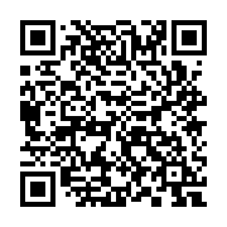 QR code for 3911QI