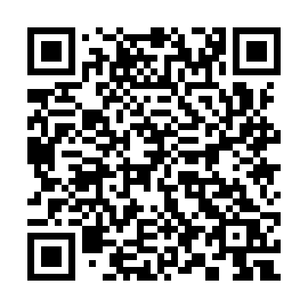 QR code for 3919RS
