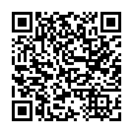 QR code for 3919VS