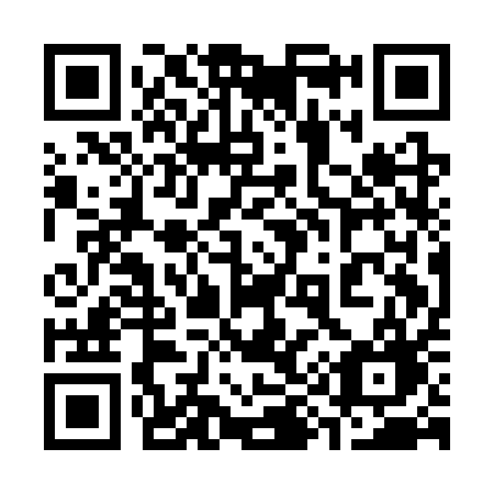 QR code for plate 391 CQG