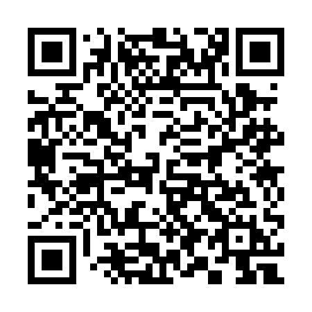QR code for 393 0AH