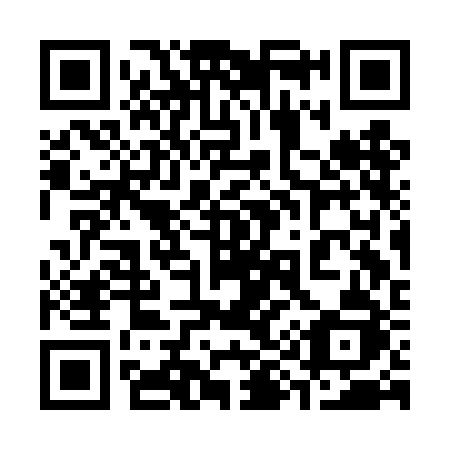 QR code for 393 DBJ