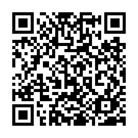 QR code for 393 GAL