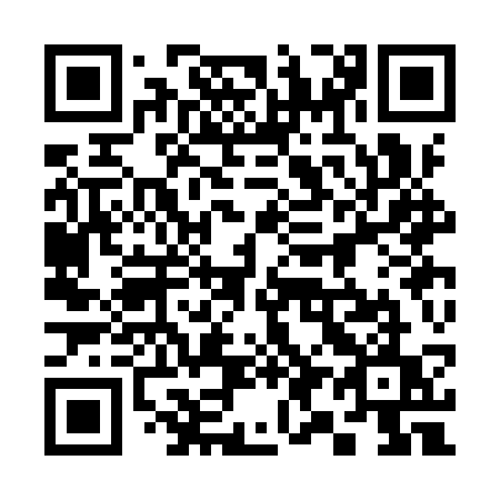 QR code for 393 ISU