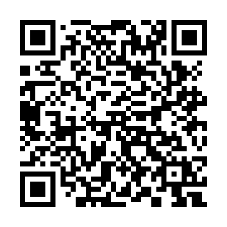 QR code for 393 JCX