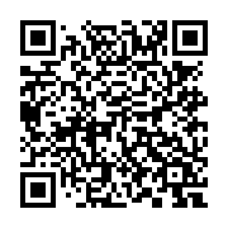 QR code for 393 NHV