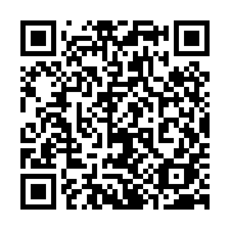 QR code for 393 PPH
