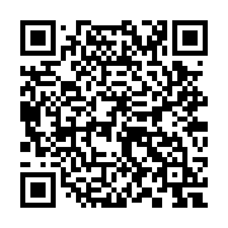 QR code for 393 PSJ