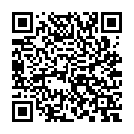 QR code for 393 SOR