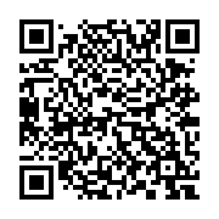 QR code for 393 TIM